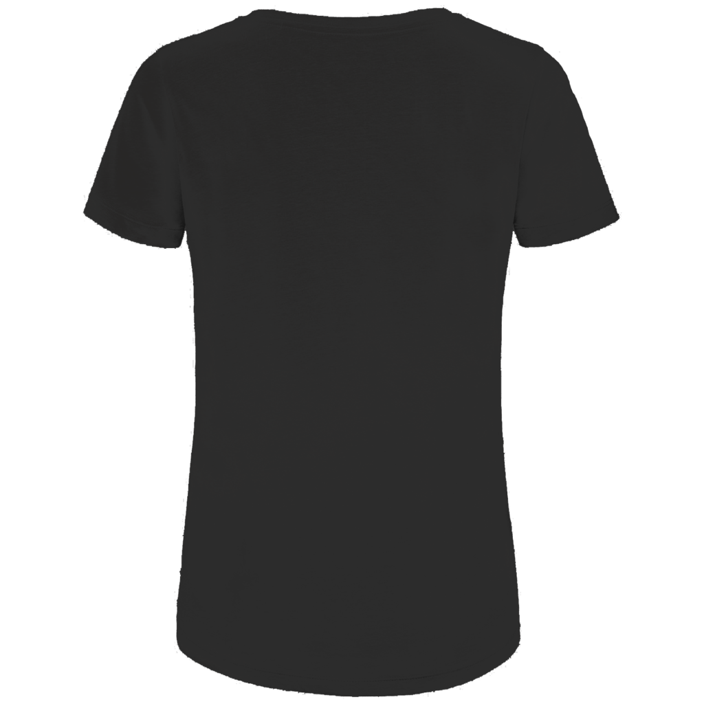 Damen Premium Bio T-Shirt 70s Cold Current