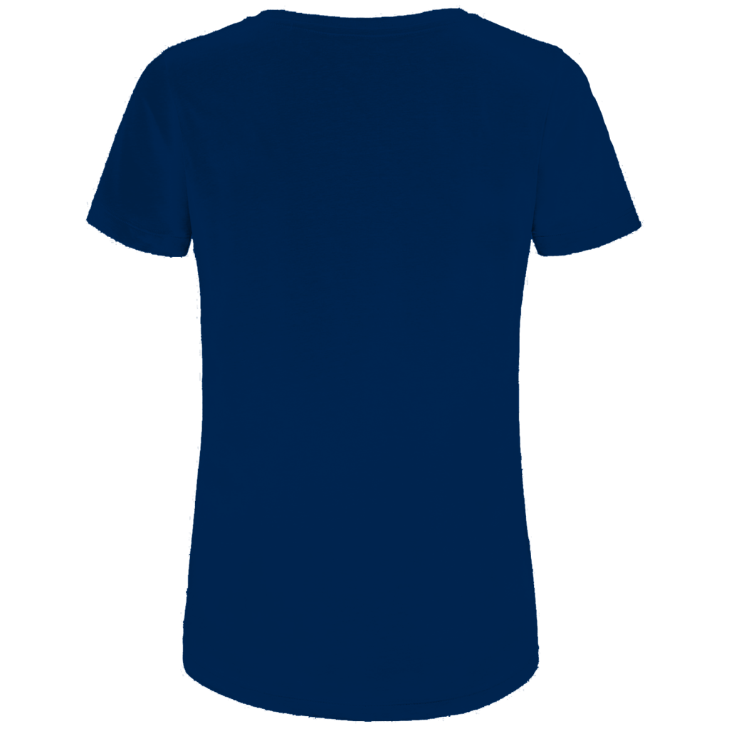 Damen Premium Bio T-Shirt 70s Cold Current